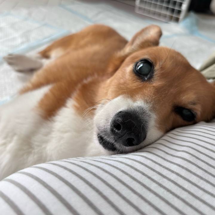 0b7eeda3 a215 48e4 a2eb baebbd3af913 1750474751873