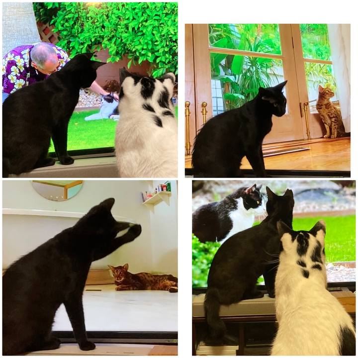 0b7f041c b4df 4edb a125 0109ae8722fc 1594282367503