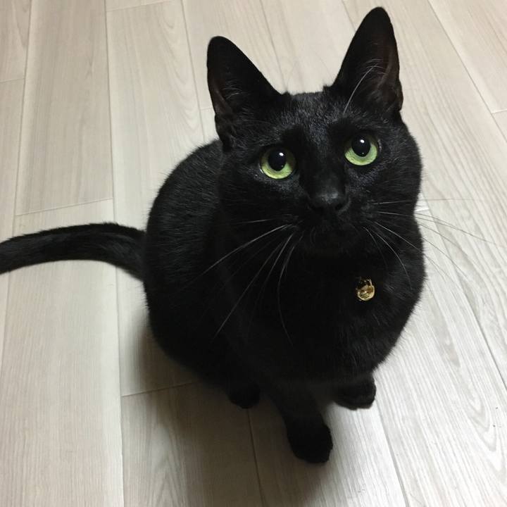 0b7f2746 b33c 4bde 8655 e5b09e31f5ed 1514125871050