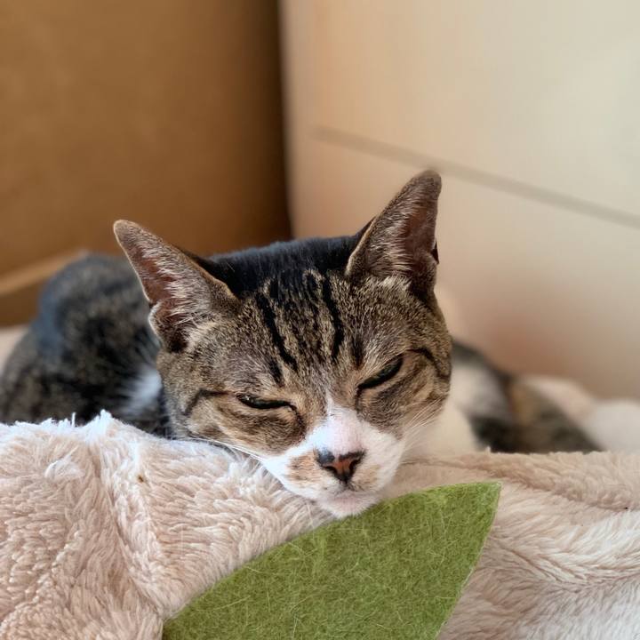 0b7f3063 5410 4379 b4fd 64288736f635 1588211625445