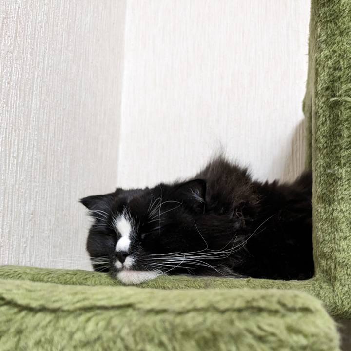 0b7f34e5 f305 4b19 815b fb008745e5e4 1703911334241