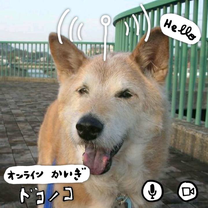 0b7f8482 9ca0 4291 94f1 799224b655ab 1590745135148