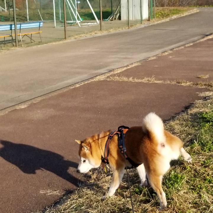 0b7f9c38 3a24 4635 ba0e d52c5c51504b 1605248653190