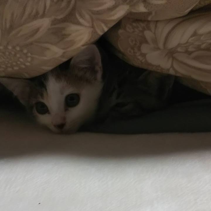 0b7fcb9a 1601 4fd8 94e0 2c882fc99194 1634805323736