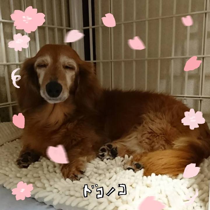 0b7fd58e e086 4ddc 8aa2 a12e7d068732 1744461090017