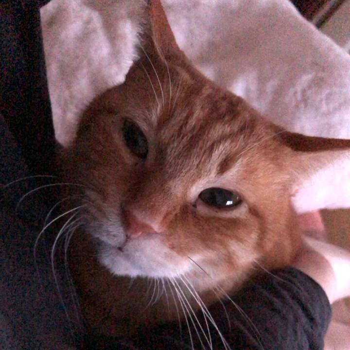 0b7fdea2 9afa 47e1 bcdf 710bffd6ceb6 1712654441902