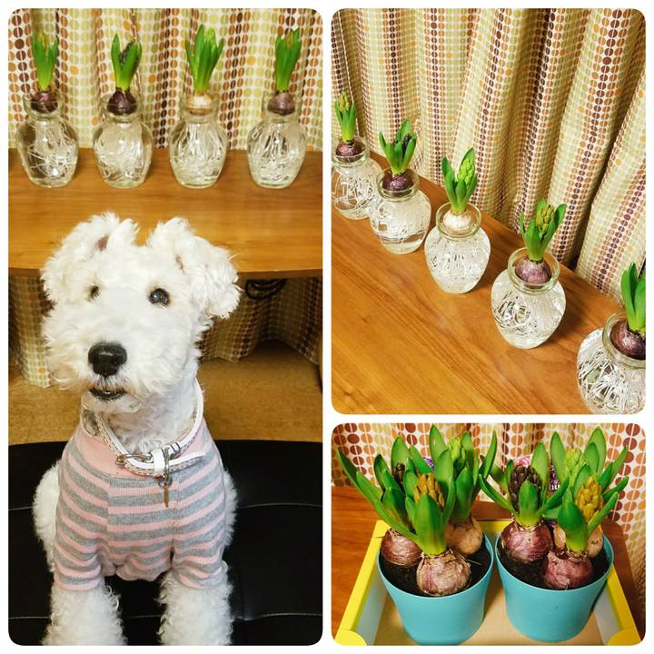 0b802f1a 1a3f 4c10 9667 4d63bae412fe 1516713437986