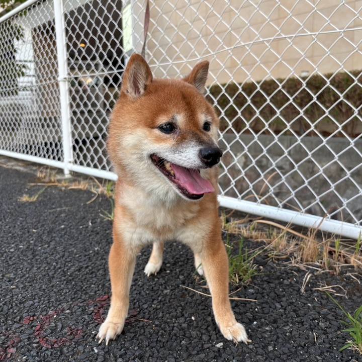 0b803920 d75b 4c0f 9919 86a9fe1c0b3f 1758014708734