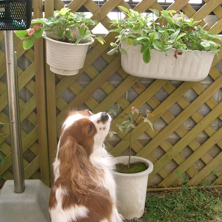 0b803f04 d80e 4e0a aea2 84175e9ac6d9 1510664226330