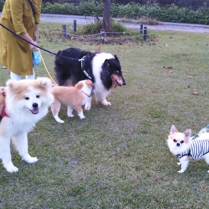 0b805469 eb48 4fd8 a106 4e156f4b7cef 1603370038051