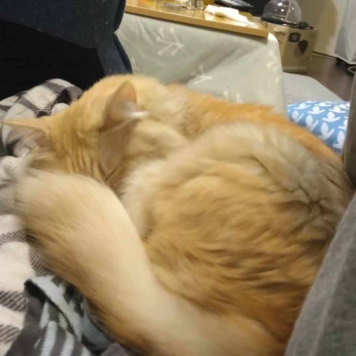 0b8061e8 8277 4237 b78a 0056fdaf418c 1699616540804