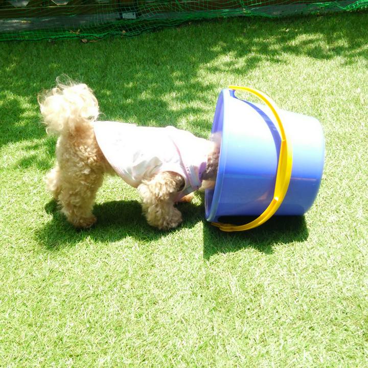 0b806957 f1e4 4563 92d9 c55d72c4f6a8 1559708408280