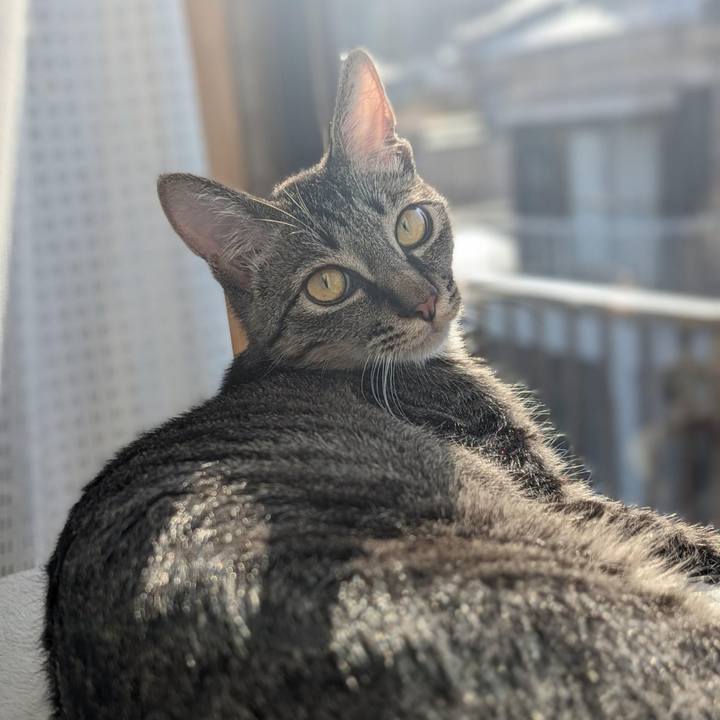 0b806b27 f2b6 4a4f b313 8712c0bcf480 1712465832102