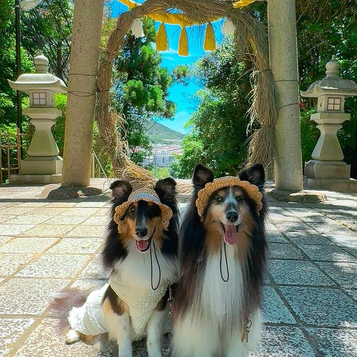 0b806c45 ab49 4614 aa4e c0e6212ed7a5 1753110434907