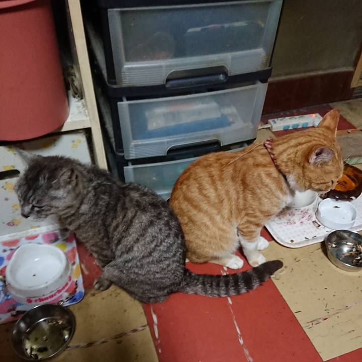 0b8076d1 07e4 4ede a76b 20703550104a 1564948687031