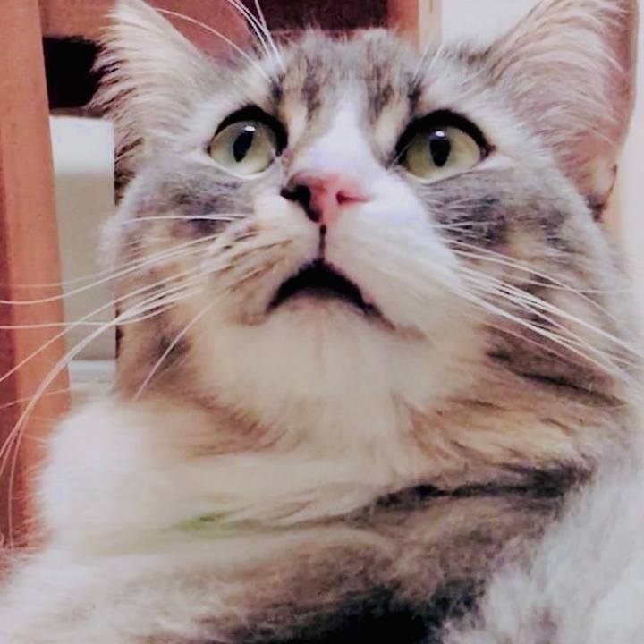 0b80a845 0dba 4dd7 b74e 1f6c78f62ebd 1596216449374