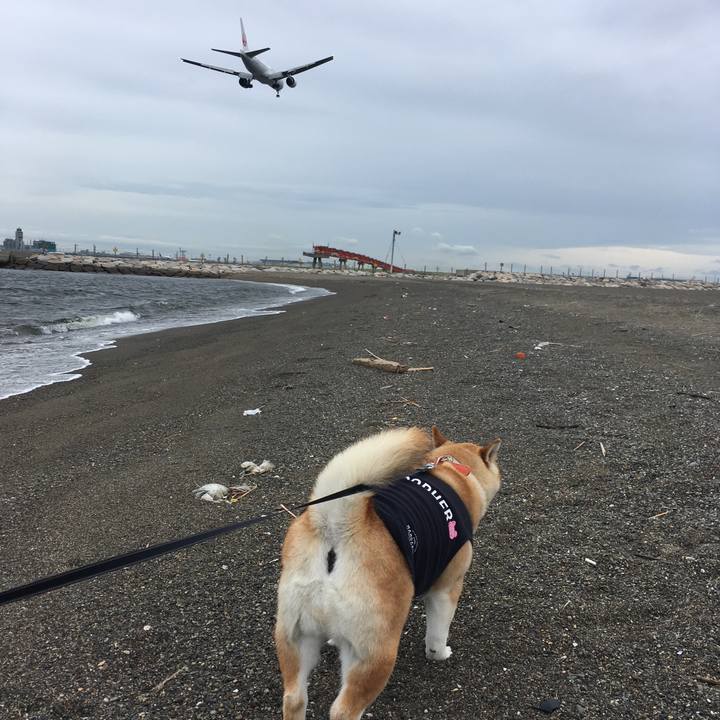 0b80ae67 2632 432b 874e 78af14d541d3 1561628446043