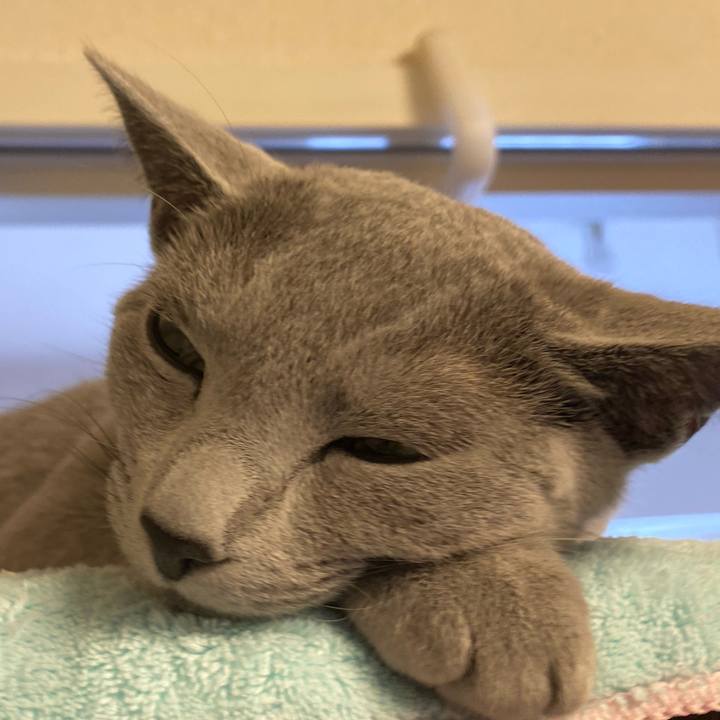 0b80d48b 5cdc 474f a5a9 b72e8d04e8f2 1624622261591