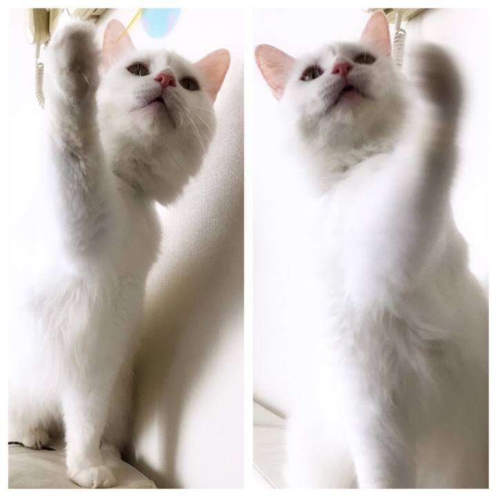 0b80db74 a74d 4eac be1c 4938ed96e5d0 1569683032848