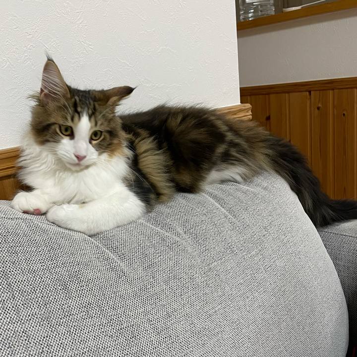 0b811149 ee7f 49f0 8432 d519e3b3ad9f 1636378302988