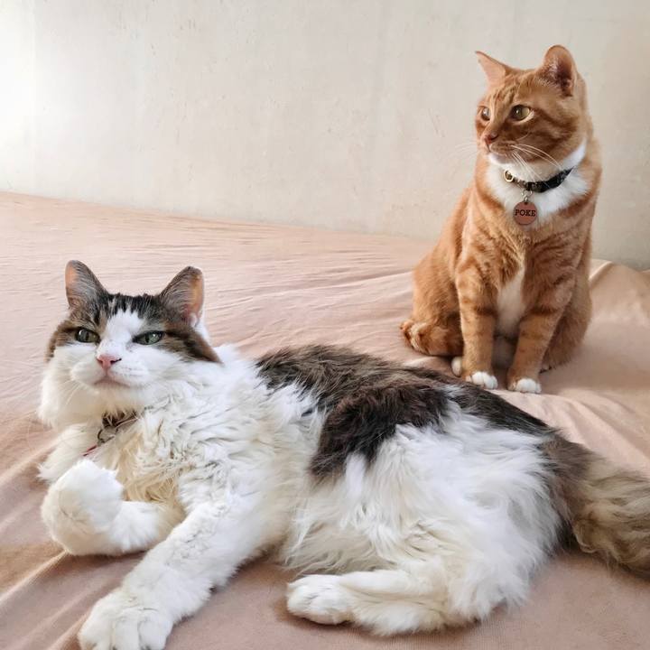 0b81121b 4393 447b b59b 8308d508b28d 1668185205569