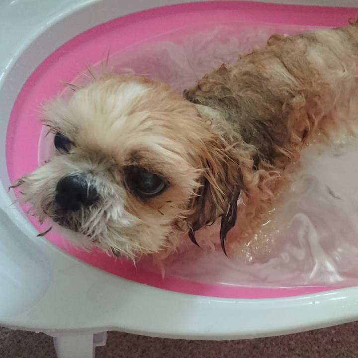 0b8120d6 335a 4c05 a871 549ff85adc74 1708993952994