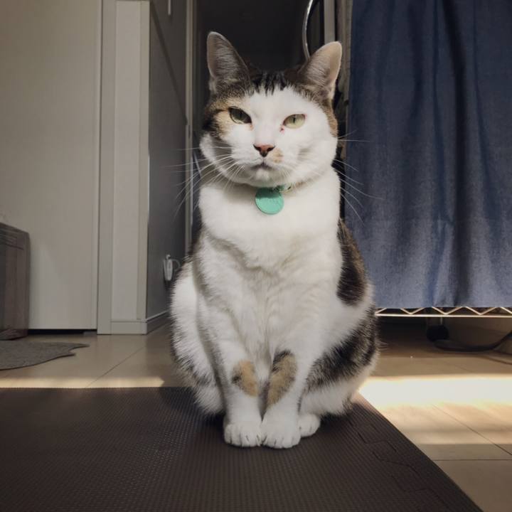 0b8128ee 9d45 4a63 9c82 c705805383f2 1545537024125