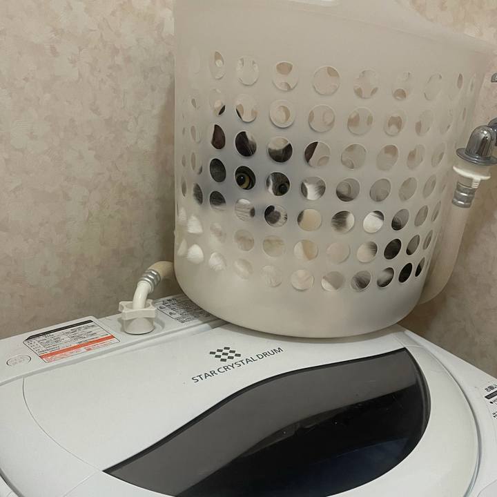 0b8162b1 17bb 4b22 ac2b 93cd2177aa74 1627175428688