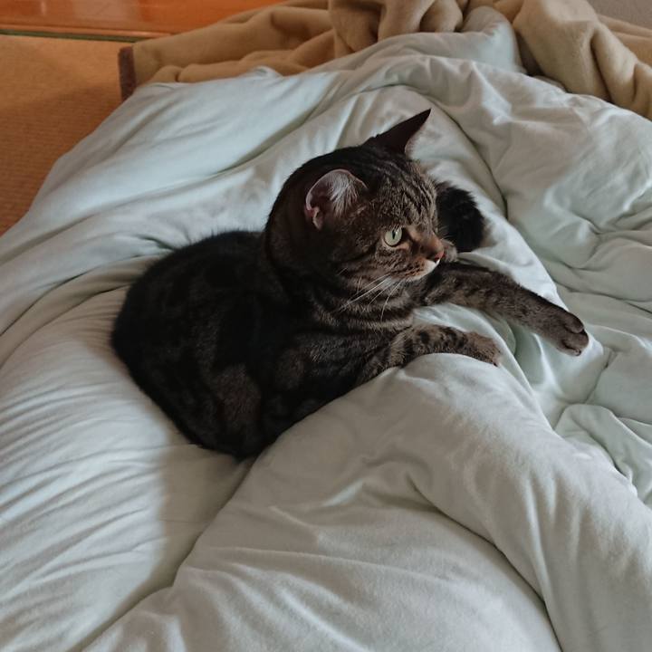 0b816b03 5021 4e2a ad9c 78a26762e3e5 1587548430642