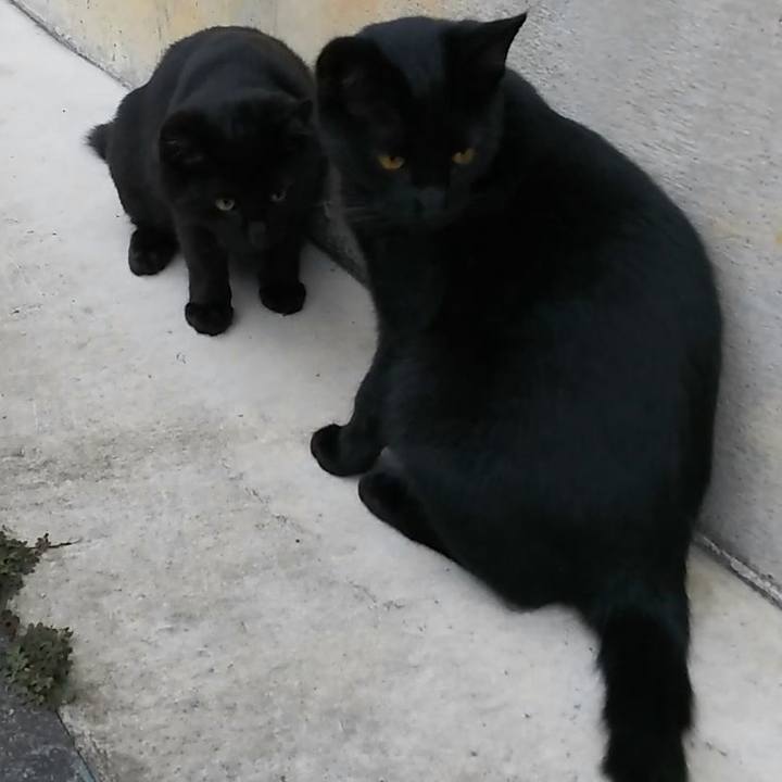 0b81834b 2ab4 414a 8c3a 88251fb56818 1543738602883