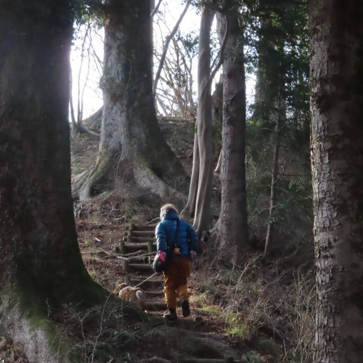 0b818ad0 1798 4517 9be0 433a6c0ad931 1675521027733