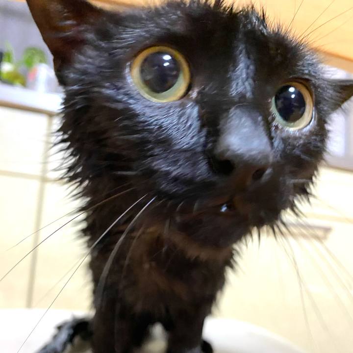 0b81f101 e41c 48fd b25b a172a6725cf5 1687687058440