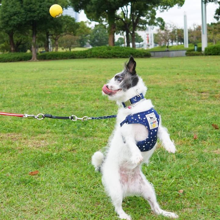 0b820196 c737 4420 814b 72b3e9178266 1538395135274