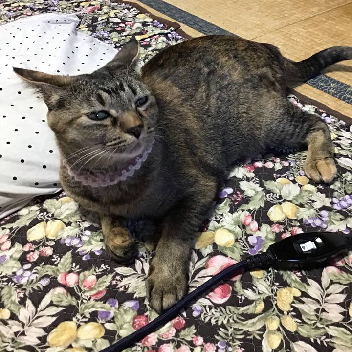 0b821520 76c4 42e8 a086 20a4c500e809 1653727372794