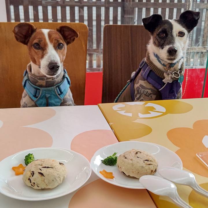 0b82624e 4344 436c bdd1 1d4ccca08866 1668920023249