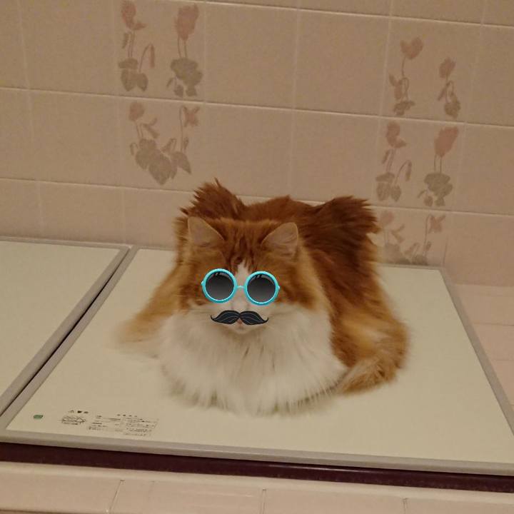 0b82649d b09e 406f 8970 3425242cb4a0 1553049906490