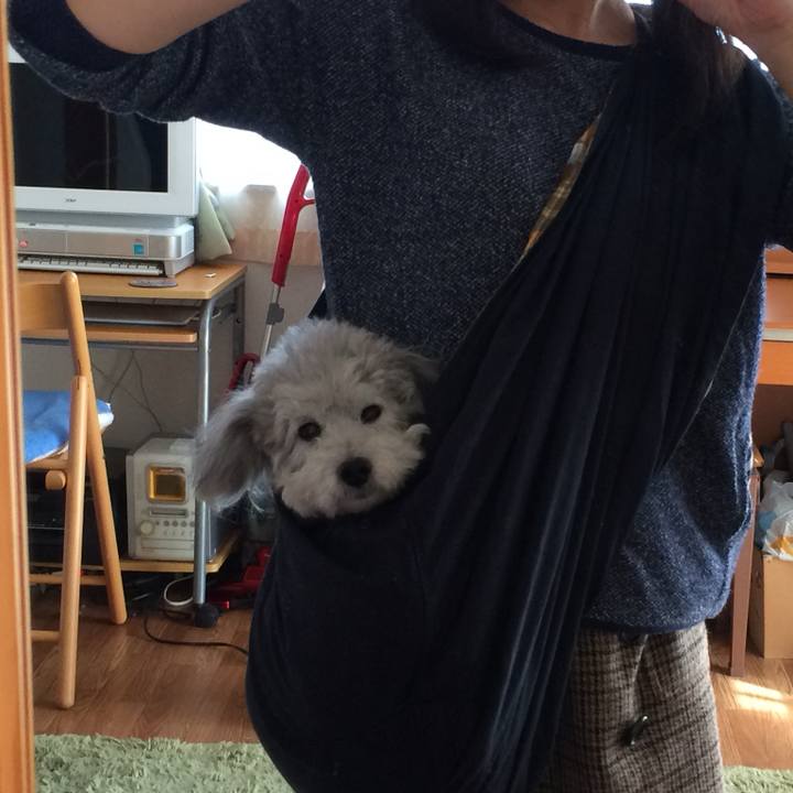 0b8269e4 7f96 4599 a29a 61a2d4127371 1738543483890