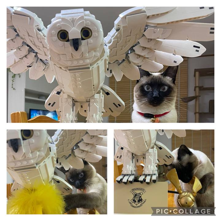 0b8273c5 b062 4882 aabd 4c9aa2098caa 1735422013441