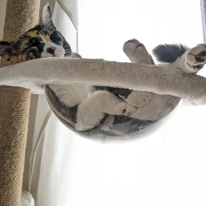 0b829315 d6b3 420c 8c4a 24af319464b4 1690297708398