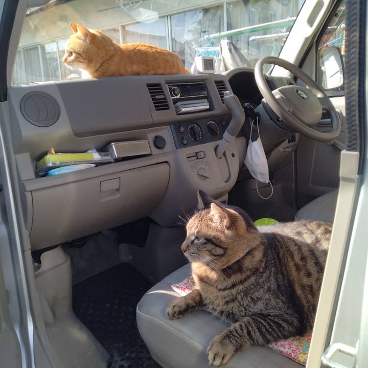 0b829b08 6ff8 431e bbf0 13d65f704164 1680078239198