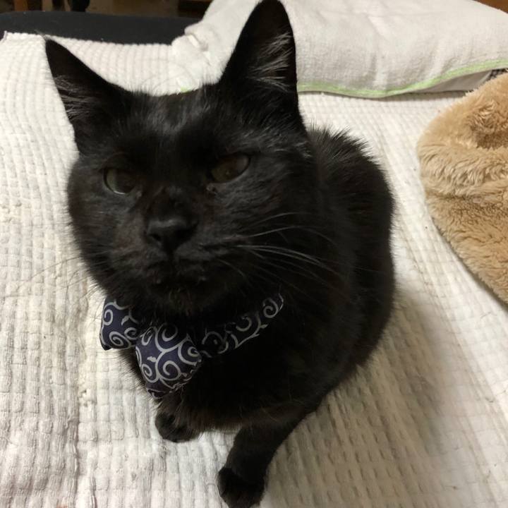 0b82a8ca 8e9b 4881 975d 7a92339eba0a 1586427641178