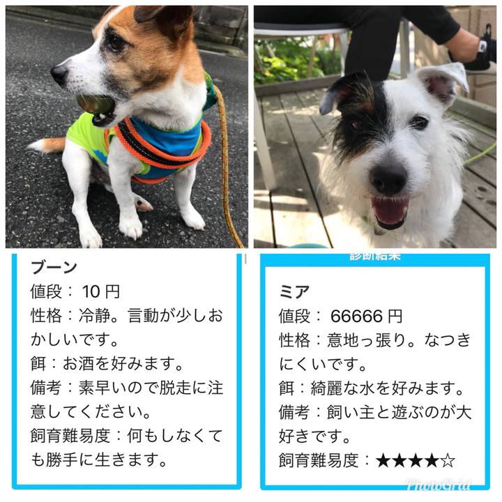 0b82aa52 5bc4 47e2 a829 7ac622a58e1e 1529833561982