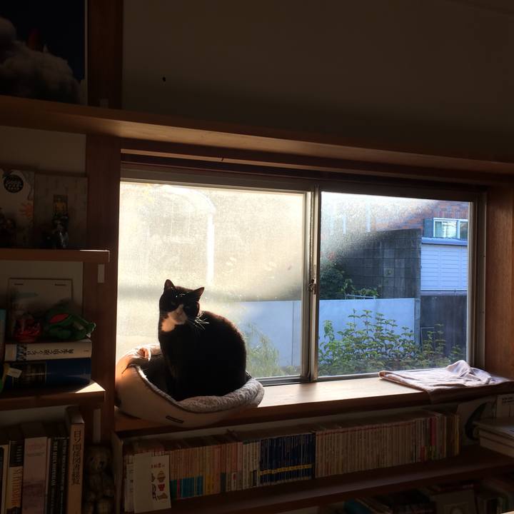 0b83248f 9450 4758 bcb0 16920eb764ec 1511047607233