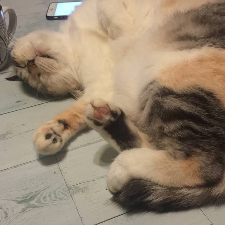 0b8327a6 3f4f 49b1 b13e e9f157274d05 1572352819896