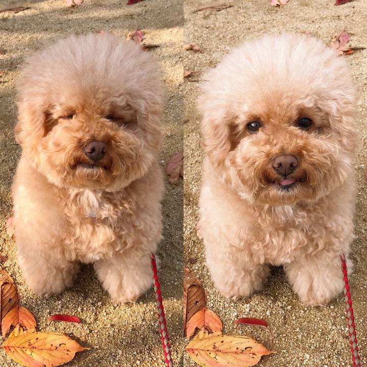 0b832a1f 8636 41df a223 4a42fe9cc650 1510190639205