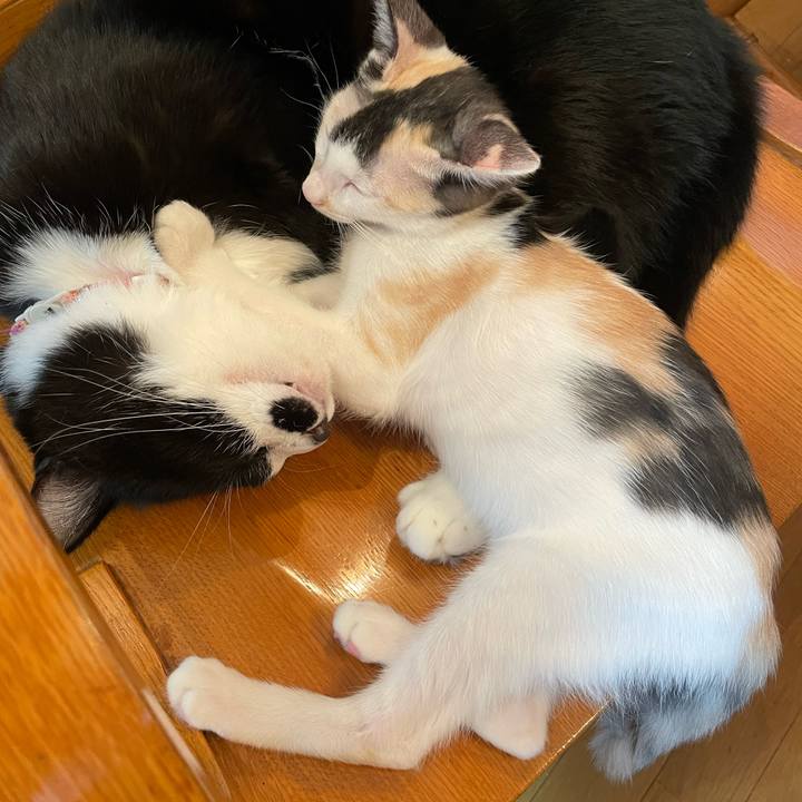 0b836c4d 6c76 4659 b530 7874d842aad4 1660266652691