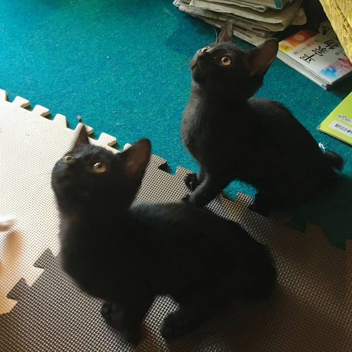 0b838346 cd82 4d62 be77 c63650c22510 1625904452269