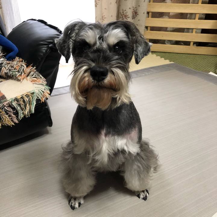 0b83ac10 369d 4774 95a1 64f431c1188f 1577767215334