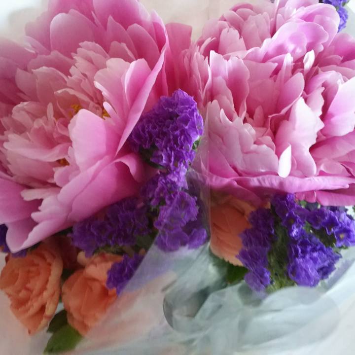 0b83e3bb 7bf6 4951 b0df 8100bd39c135 1526716144634