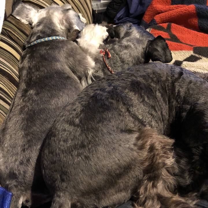 0b840425 752f 4c68 8760 f520294ec807 1542539539764